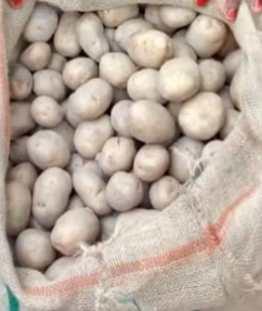 Joti Potato ( জোতি আলু )
