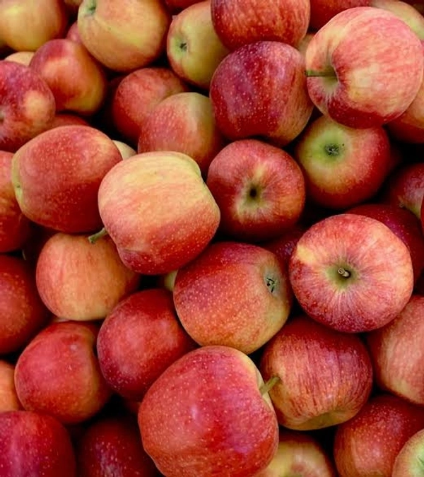 Appal (আপেল )