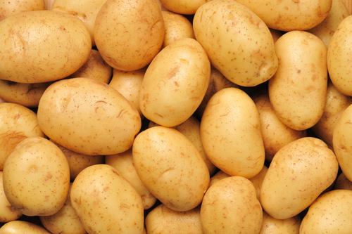 আলু (Potato)