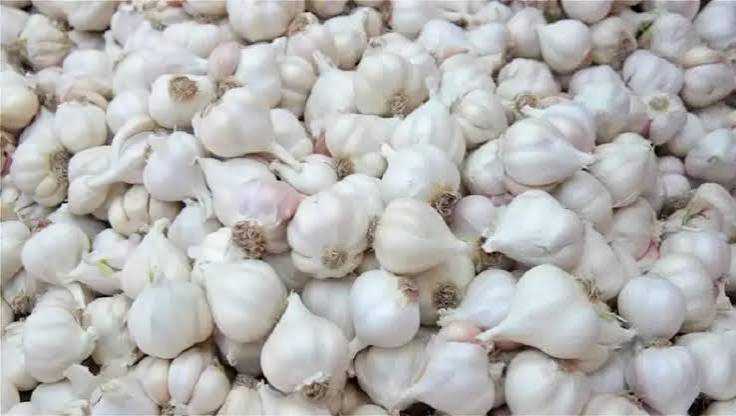 Garlic/রসুন 